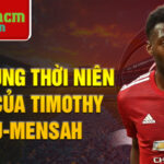 Chân dung thời niên thiếu của timothy fosu-mensah