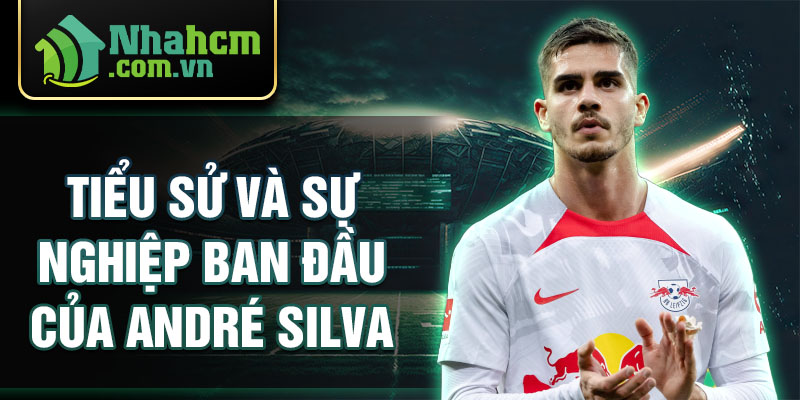 Tiểu sử và sự nghiệp ban đầu của andré silva