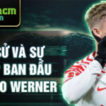 Tiểu sử và sự nghiệp ban đầu của timo werner