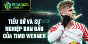 Tiểu sử và sự nghiệp ban đầu của timo werner