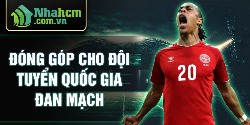 Đóng góp cho đội tuyển quốc gia đan mạch