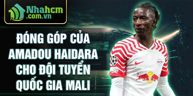 Đóng góp của amadou haidara cho đội tuyển quốc gia mali